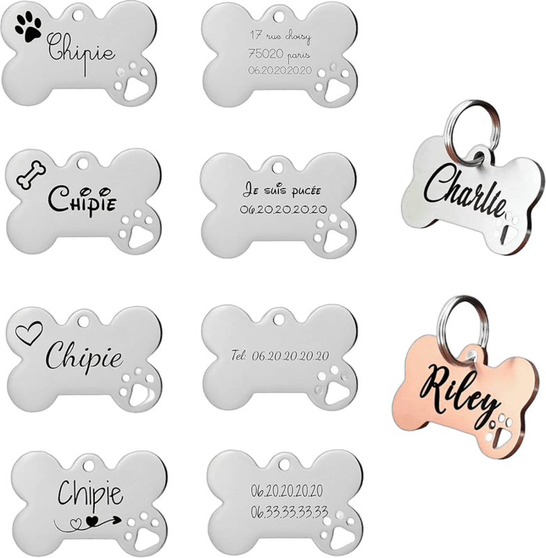 Médailles pour chien et chat gravées sur place à Rambouillet